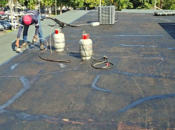 manto asfaltico del organo judicial